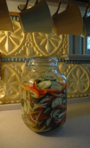 Cucumber_salad_pepper_onion_glass_Sharon_Glasgow_516121011_mod