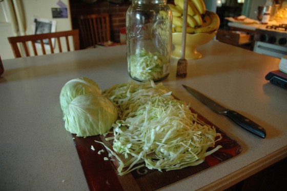Sauerkraut_Sharon_Glasgow_Hartwood_VA_528121162