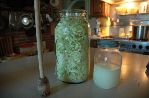Sauerkraut_Sharon_Glasgow_Hartwood_VA_528121172