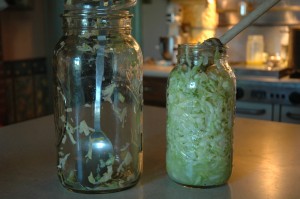 Sauerkraut_Sharon_Glasgow_Hartwood_VA_528121181
