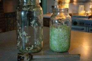 Sauerkraut_Sharon_Glasgow_Hartwood_VA_528121185