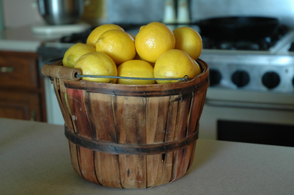 lactofermented_lemon_sharonglasgowcom (6)