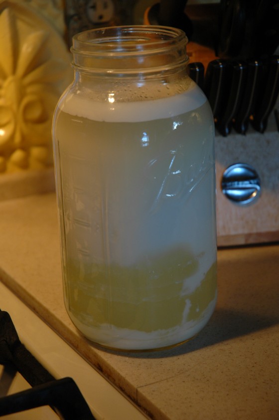 Curds and Whey Separating
