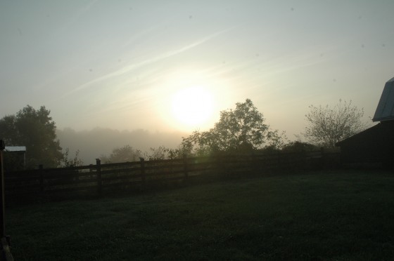 Early morning Sunday morning on Glasgow Farm, started new day. Dale and the guys rested from labor. Hannah convinced Dad to come along for an antique's shopping day.