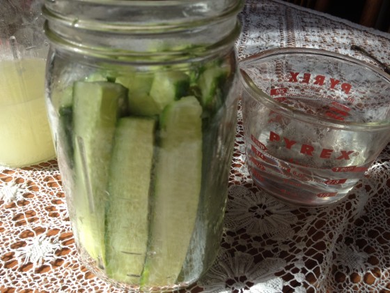 cucumber4