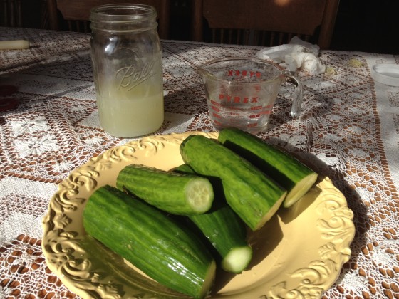 cucumber5