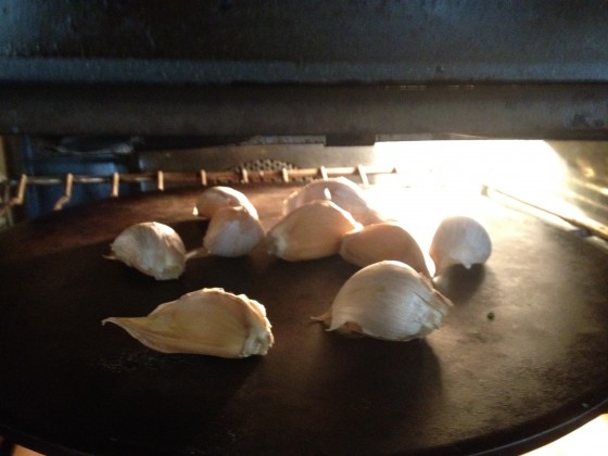 garlic8