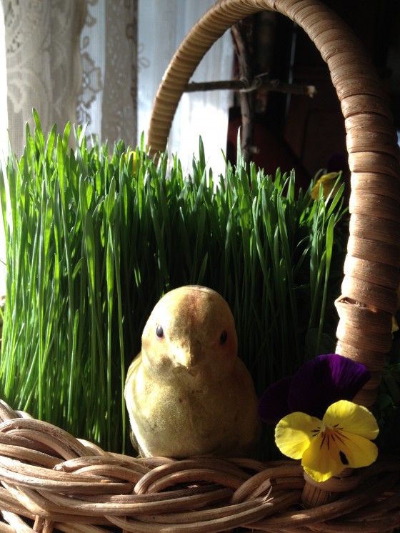 Fig conserve, felicity, living easter basket, pickled eggs 059