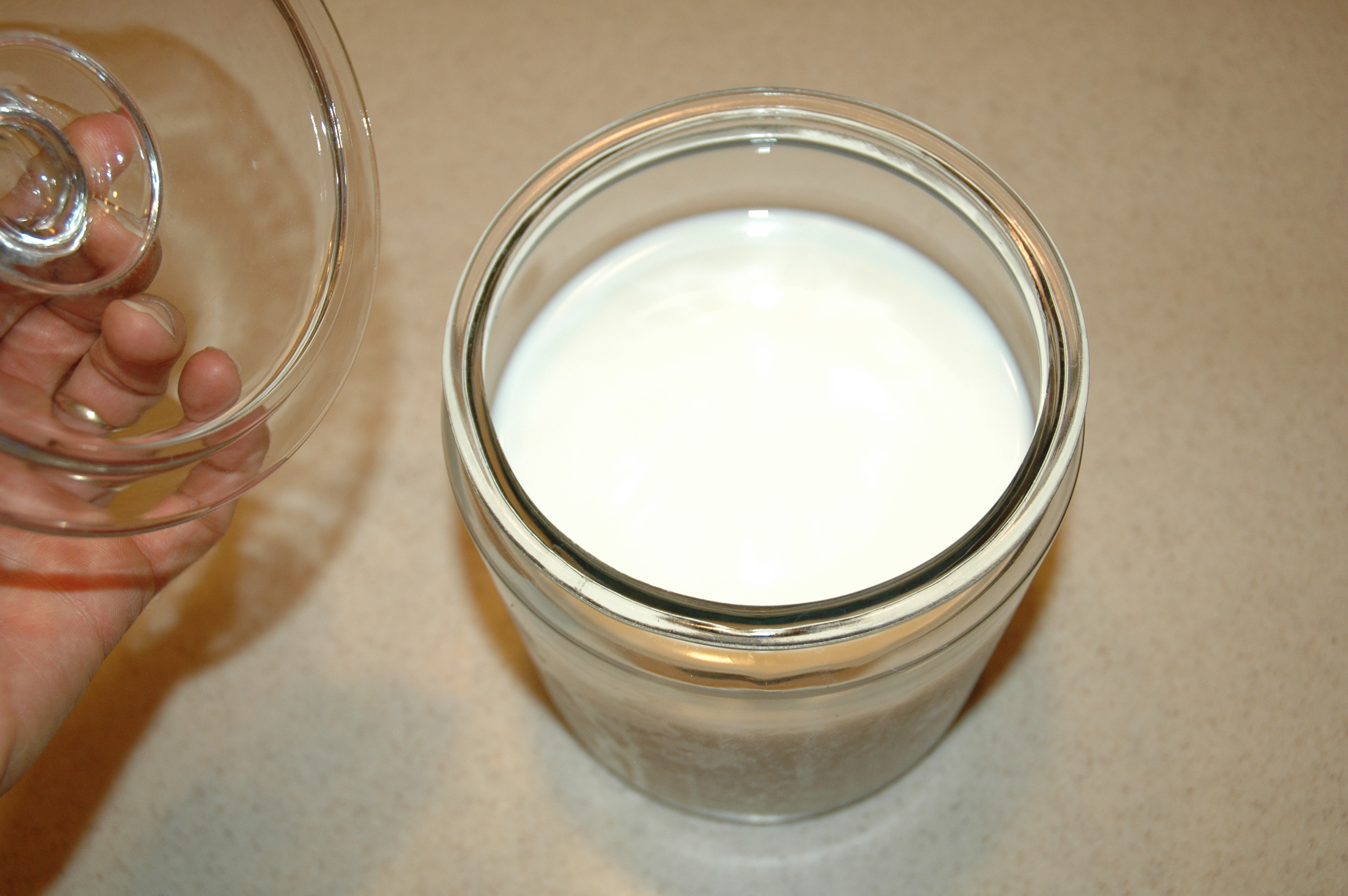 whey-making-straining-2012-40-sharon-glasgow